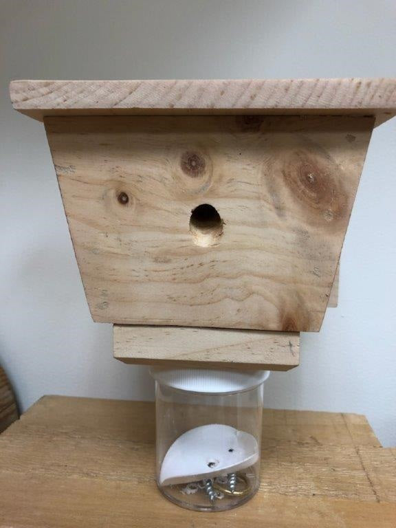 Carpenter Bee Trap 